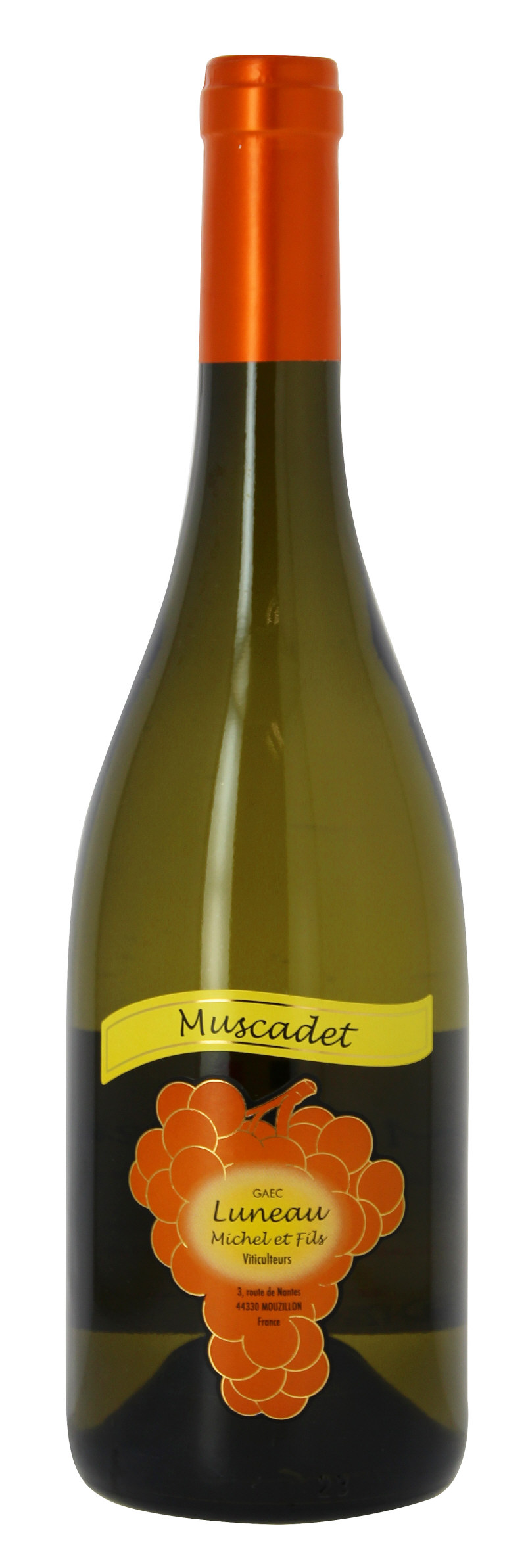 bt muscadet aoc.JPG